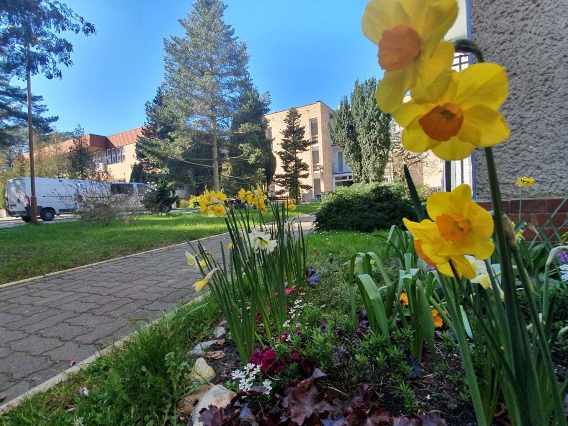 Osrodek Wczasowy Wrzos Łukęcin Exterior foto